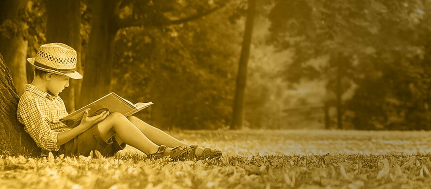 Boy reading book