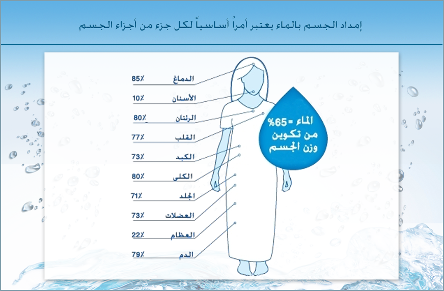 جدة مياه نستله رقم خدمة