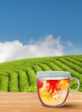 Carnation Evaporated Milk (10x15g)
