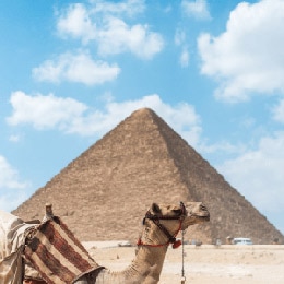 جوال مصر