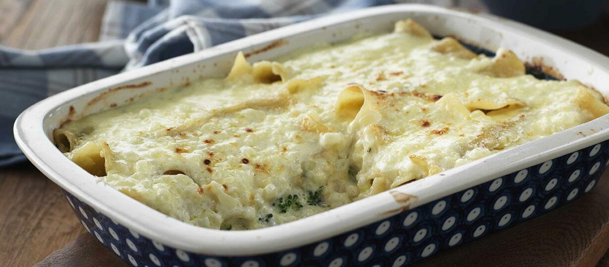 Creamy Broccoli & Cheddar Cannelloni