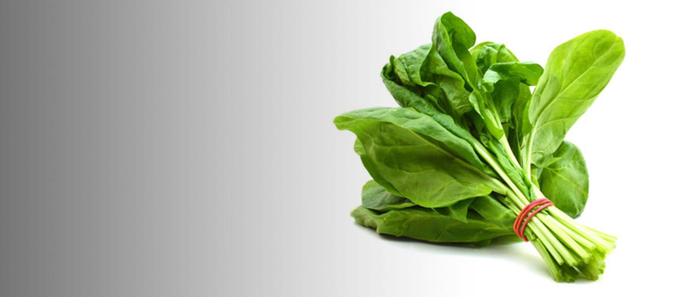 Spinach Leaves