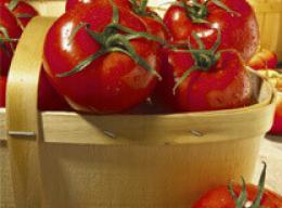 Tomatoes: Ripe, Red and Full of Nutrition
