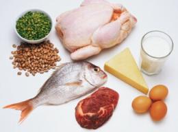 ما علاقة البروتين بصحة العظام؟
