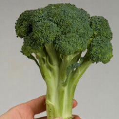 broccoli