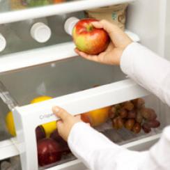 Tidy Fridge