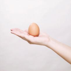 Handling eggs