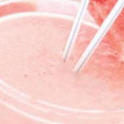 Fat free watermelon milk shake