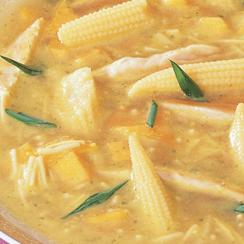 شوربة الدجاج واليقطين