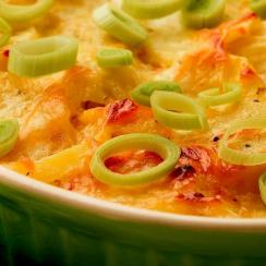 كاسرول الدجاج بصلصة الكريما