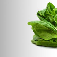 Spinach Leaves